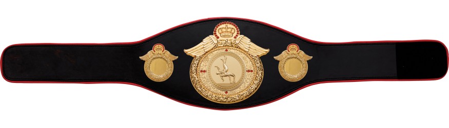 WRESTLING CHAMPIONSHIP BELT-PROWING/G/WRESTG-6+ COLOURS